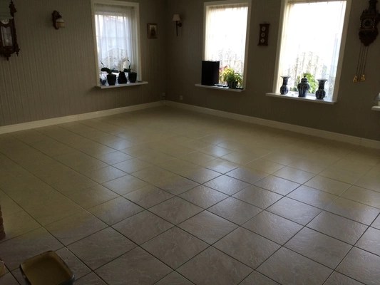 Egaliseren plavuizen